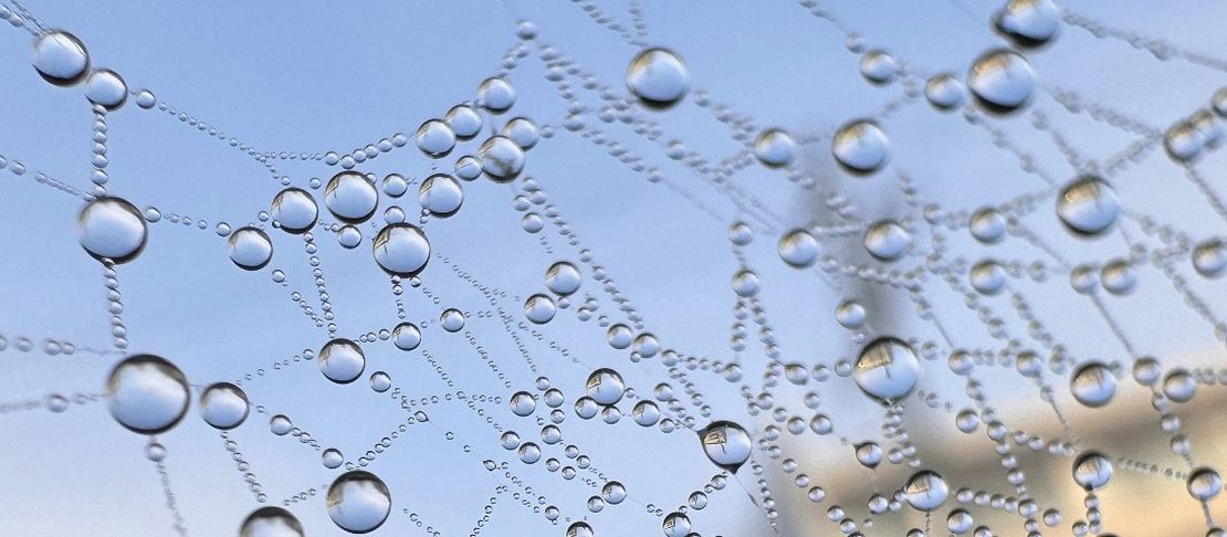 The Case for Segmented Networks